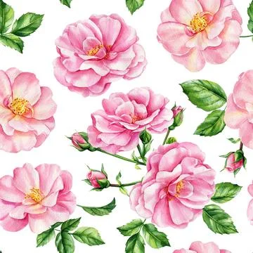 Seamless pattern with pink roses and leaves. Watercolor Flora for wallpapers Stock Illustration