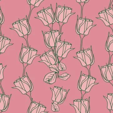 Seamless pattern with pink roses on pink . Vector illustration Stock Illustration