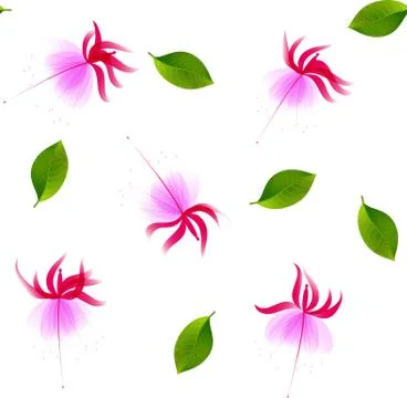 Seamless  pattern  with pink semitransparent flowers of fuchsia Stock Illustration