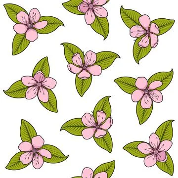 Seamless pattern with pink spring flowers. Stock Illustration