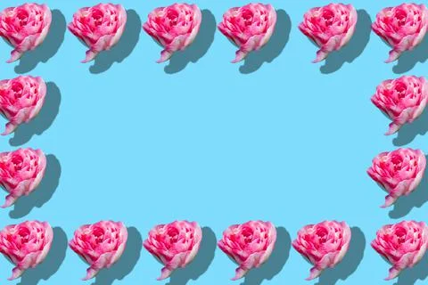 Seamless pattern of pink spring tulips on blue background. Copy space for the Stock Photos
