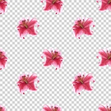 Seamless pattern of pink tiger lily flowers, hand drawn watercolor illustration Ilustração Stock