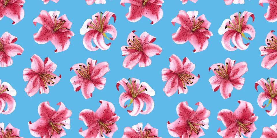 Seamless pattern of pink tiger lily flowers, hand drawn watercolor illustration Stock Illustration