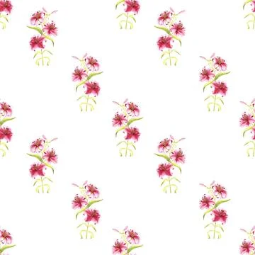 Seamless pattern of pink tiger lily flowers, hand drawn watercolor illustration Stock Illustration