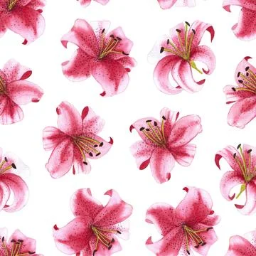 Seamless pattern of pink tiger lily flowers, hand drawn watercolor illustration Stock Illustration