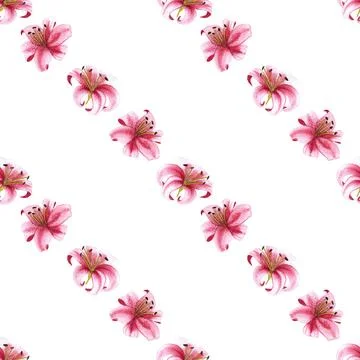 Seamless pattern of pink tiger lily flowers, hand drawn watercolor illustration Stock Illustration