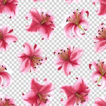 Seamless pattern of pink tiger lily flowers, hand drawn watercolor illustration Stock Illustration