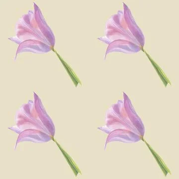 Seamless pattern with pink tulip Illustrazione stock