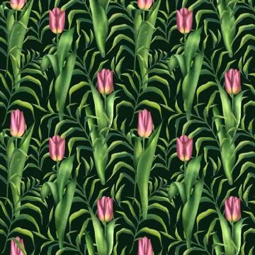 Seamless pattern with pink tulips on black Stock Illustration