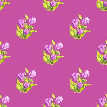 Seamless pattern of pink tulips hand drawn with colored pencils on pink Stock Illustration