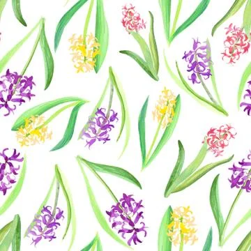 Seamless pattern of pink yellow purple Hyacinth flowers and leaves. Spring Stock Illustration
