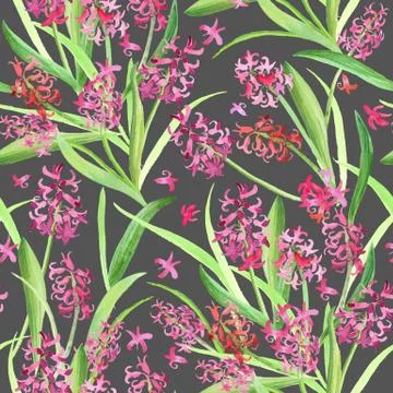 Seamless pattern of pink yellow purple Hyacinth flowers and leaves. Spring Stock Illustration