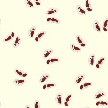 Seamless pattern pinto beans showing healthy food and ingredient 库存插图