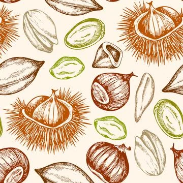 Seamless pattern with pistachio and chestnut. Stock Illustration