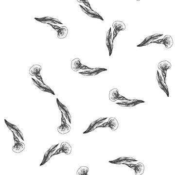 Seamless pattern plant calla lily sketch hand drawn 스톡 일러스트
