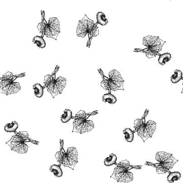 Seamless pattern plant coltsfoot sketch hand drawn 스톡 일러스트