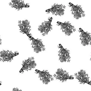 Seamless pattern plant dill sketch hand drawn Stock Illustration