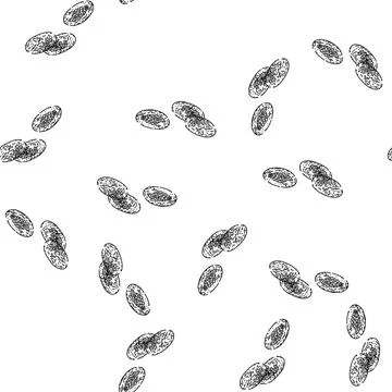 Seamless pattern plant evening primrose sketch hand drawn 库存插图