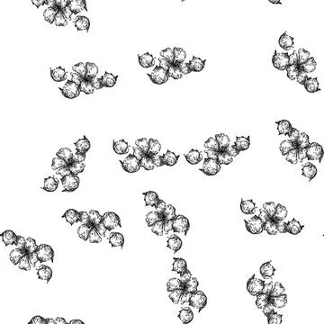 Seamless pattern plant flax sketch hand drawn Stockillustratie