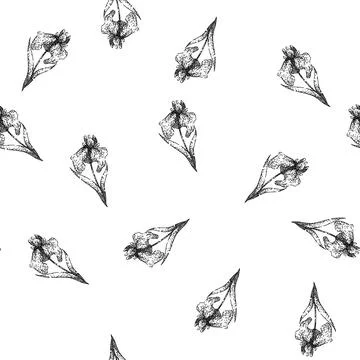 Seamless pattern plant iris sketch hand drawn 스톡 일러스트