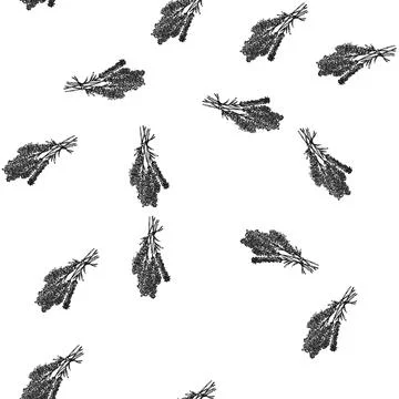 Seamless pattern plant lavender sketch hand drawn Stock Illustration