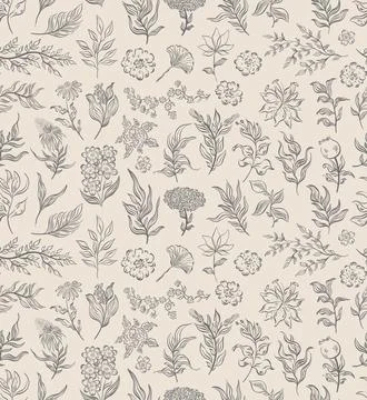 Seamless pattern plant nature hand drawn set. Outline botanical element.Elegante Stock Illustration