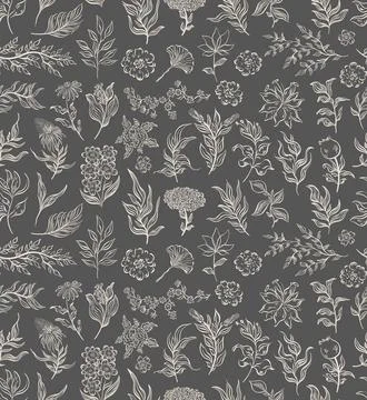 Seamless pattern plant nature hand drawn set. Outline botanical element.Elegante Stock Illustration