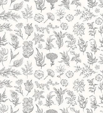 Seamless pattern plant nature hand drawn set. Outline botanical element.Elegante Stock Illustration