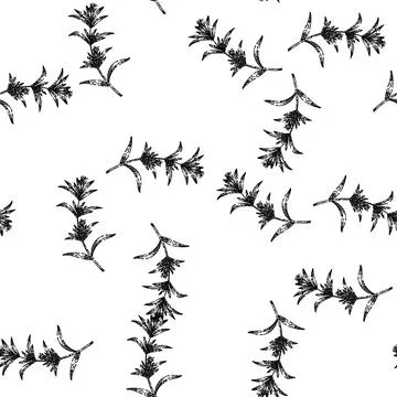 Seamless pattern plant savory sketch hand drawn Stock Illustration