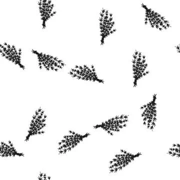 Seamless pattern plant thyme leaf sketch hand drawn Stock Illustration