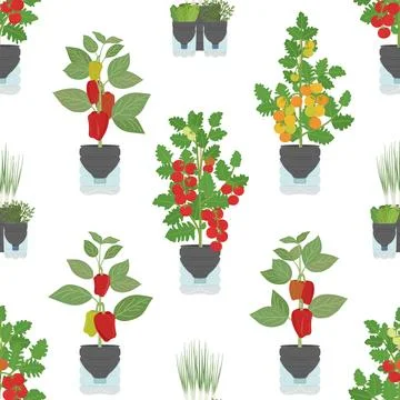 Seamless pattern of plastic bottle planters on white background. Vertical g.. Stock Illustration