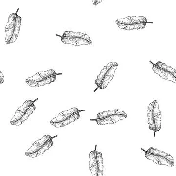 Seamless pattern plate banana leaf sketch hand drawn イラスト素材