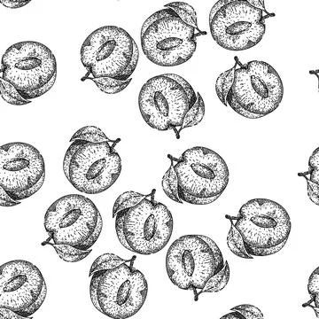 Seamless pattern plum fruit food sketch hand drawn Stock Illustration