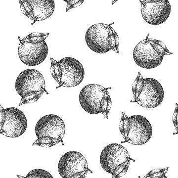 Seamless pattern plum fruit raw food sketch hand drawn Stock Illustration