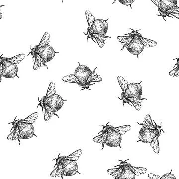 Seamless pattern pollinate bee sketch hand drawn Stock Illustration