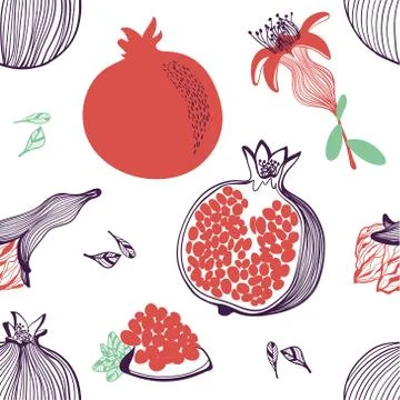 Seamless pattern of pomegranate. Flower, half. Vector hand drawn illustration Stock Illustration