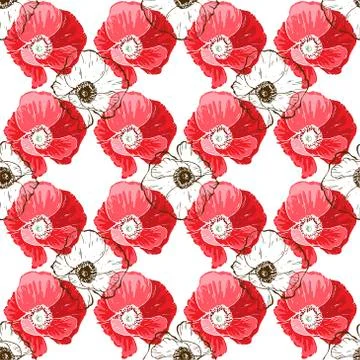 Seamless pattern with poppies flower on white background.  Stock Illustration