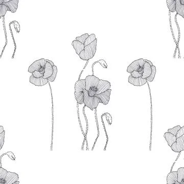 Seamless pattern of poppies hand drawn pen illustration on white background Ilustração Stock