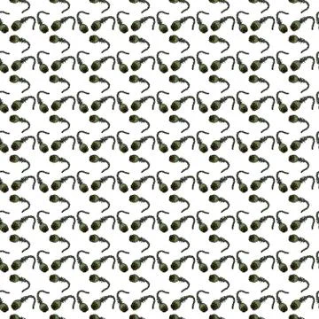 Seamless pattern with poppy heads. Stock Illustration