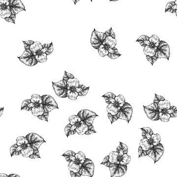 Seamless pattern pot begonia sketch hand drawn Illustrazione stock