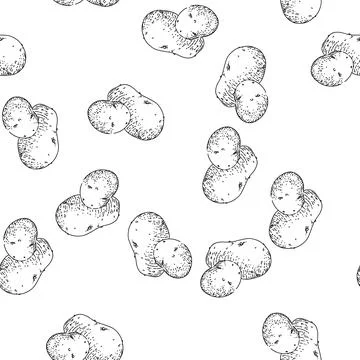 Seamless pattern potato vegetable sketch hand drawn Stock Illustration