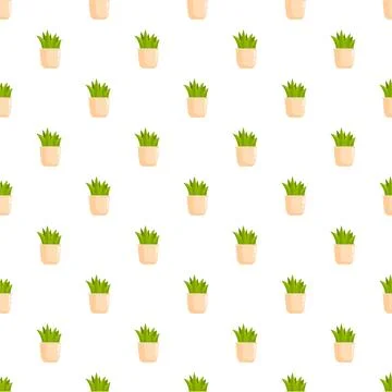 Seamless pattern with potted green succulent plants Stock Illustration