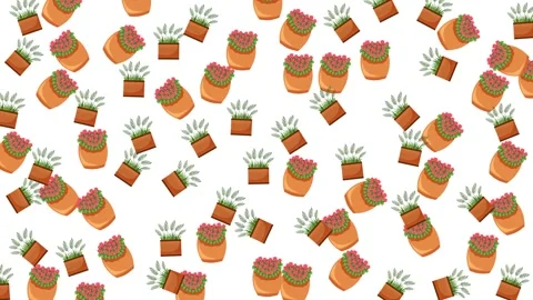 Seamless Pattern of Potted Houseplants and Hanging Greenery on White Background Stock Footage 345539481