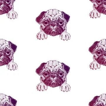 Seamless pattern with pretty pug puppy. Stock Illustration