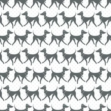 Seamless Pattern with Pretty Walking Italian Greyhounds Stock Illustration