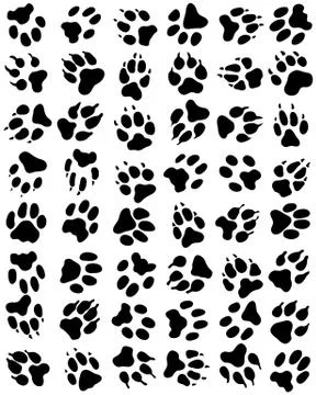 Seamless pattern of print of dogs paws Stock Illustration