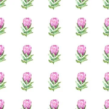 Seamless pattern of protea pink flower, hand drawn watercolor painting Stockillustratie