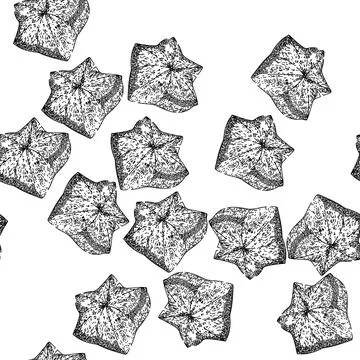 Seamless pattern protein sacha inchi sketch hand drawn Stock Illustration