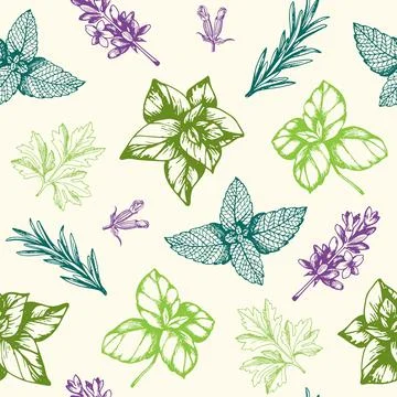 Seamless pattern with Provencal herbs Stock Illustration