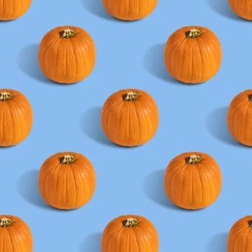 Seamless pattern with pumpkin on blue background. Stock Photos
